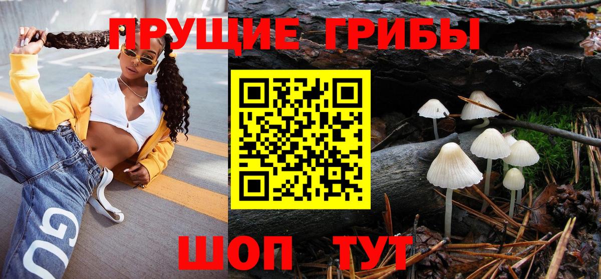 Серов  Псилоцибиновые грибы мухоморы  Вход с VPN 