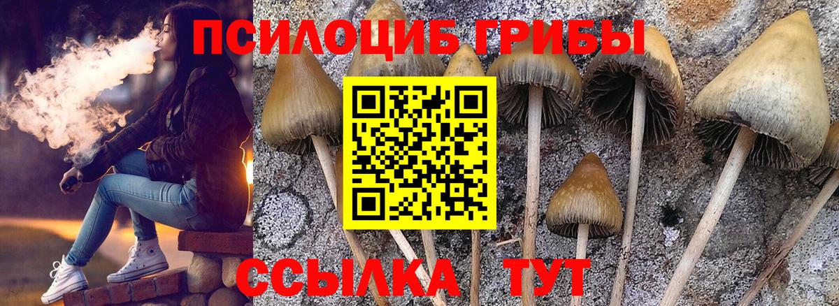Псилоцибиновые грибы GOLDEN TEACHER Серов